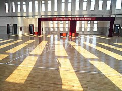 山东沾化第三小学体育活动中心单龙骨案例